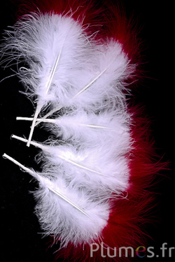 Plumet 3 plumes - hauteur 20 cm - blanc-rouge